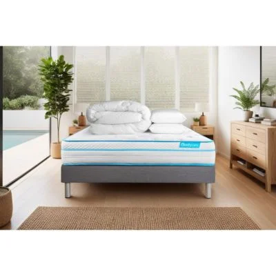 castorama-520261022082954310850